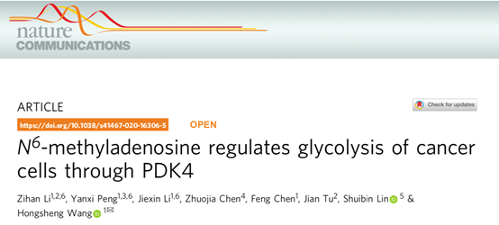 image-20200604112228-1