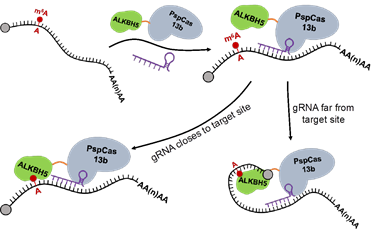 image-20200604112412-4