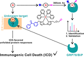 image-20220606095219-1