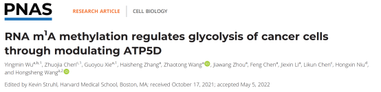 image-20220711154958-2